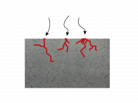 Spannungsrisskorrosion